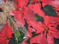 photos 2000-200902097